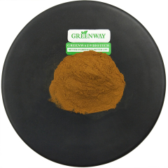 Wholesale Best Price 50% Saponin Bulk Pure Fenugreek Extract Powder