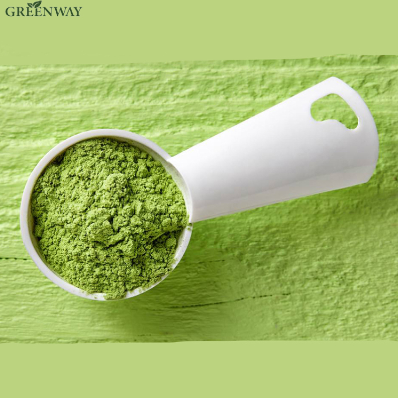Hot Selling High Quality Competitive Price Specific Gravity Organic Moringa Oleifera Leaf Extract Powder