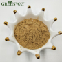 Greenway Produced Fructus Lycii Extract Bulk Goji Berry Extract Powder 40% Polysaccharides Natural Wolfberry Extract