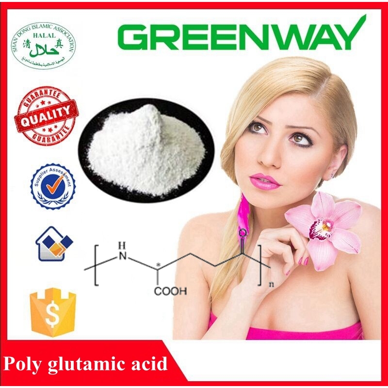 Best Price Cosmetic Grade Gamma Polyglutamic Acid