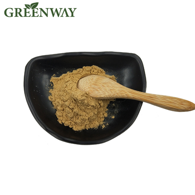 High Purity Organic Hibiscus Flower Extract Powder Roselle Powder 10% Anthocyanins Hibiscus Extract Powder