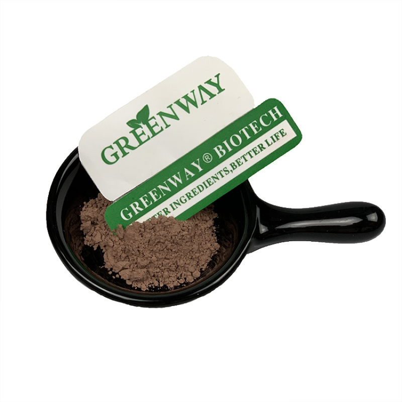 Organic 98% Chlorogenic Acid Staherb for Anti-oxidation/Weight Loss