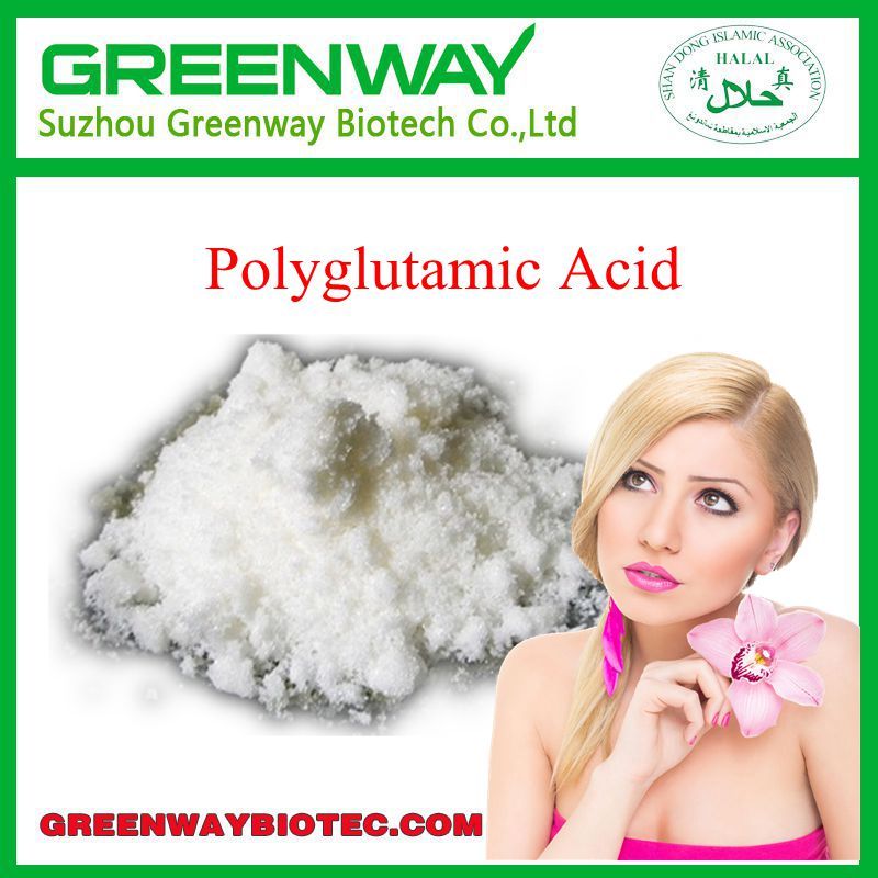 High Quality Food Grade Polyglutamic Acid;25736-27-0