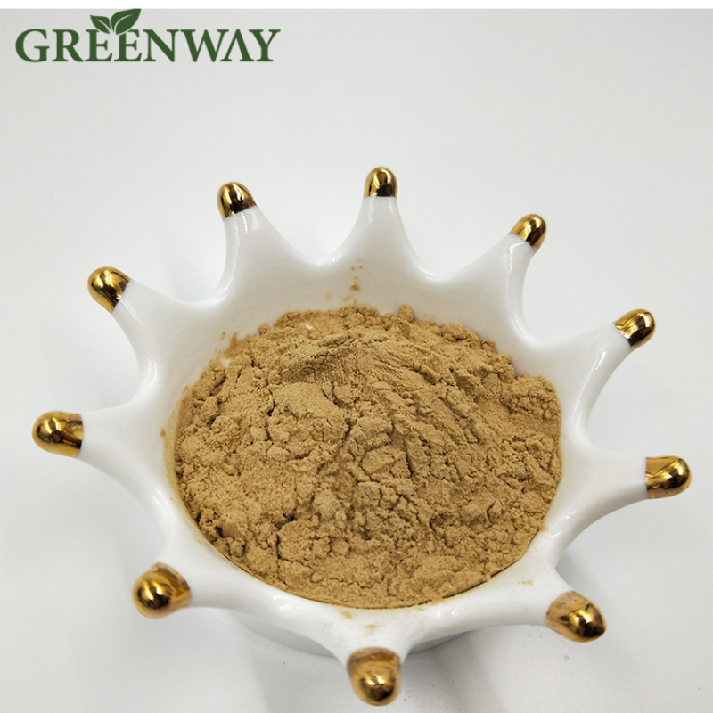 Greenway produced Natural Mushroom Extract Polysaccharides Bulk Maitake Powder