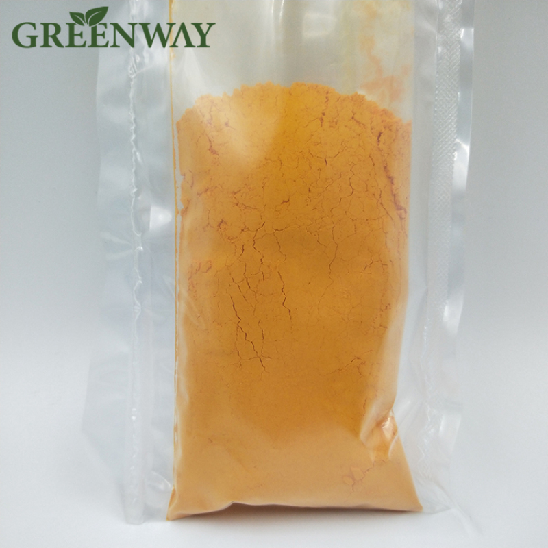 High Quality Food grade CAS 83-88-5 99% Vitamin B2 Riboflavin Powder VB2 powder