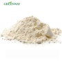 Factory Supply 100% Natural Pure Papaya Enzyme Enzyme Papain