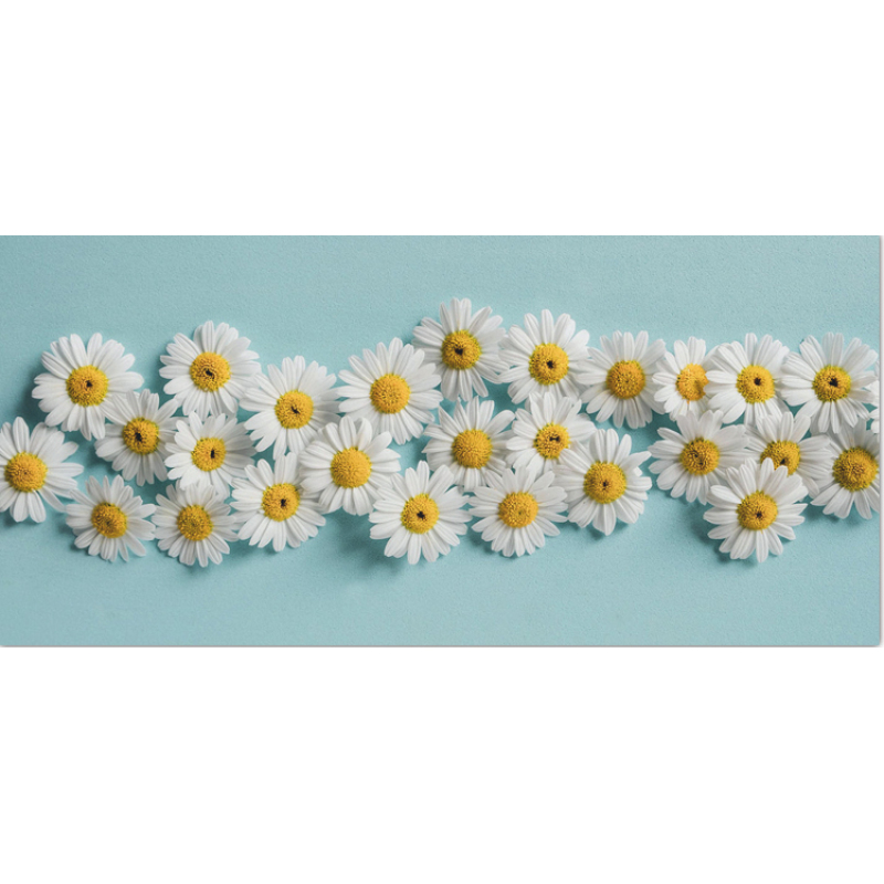 Professional Manufacturer Supply Natural CAS 520-36-5 98% Apigenin Powder Chinese Parsley Extract/Celery Extract