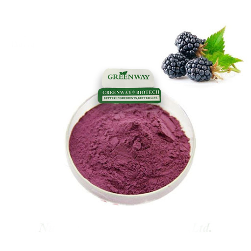 Powerful White Mulberry Leaf Extract Powder For Skin Whitening
