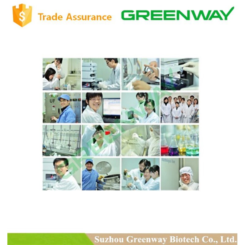 high quality industrial grade chitosan powder