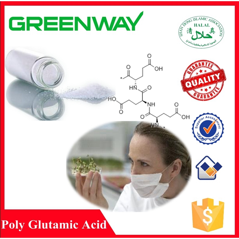 High Quality Gamma Poly Glutamic Acid