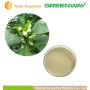citrus bioflavonoids,pure citrus bioflavonoids,citrus bioflavonoids powder