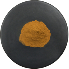 Wholesale Best Price 50% Saponin Bulk Pure Fenugreek Extract Powder