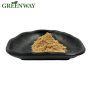 High purity Shiitake mushroom extract 30% lentinan / shiitake mushroom powder