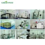 Monoammonium Glycyrrhizinate CAS 53956-04-0 Glycyrrhizic Acid Powder