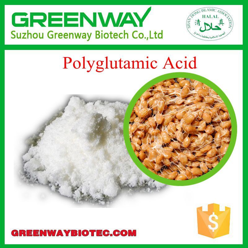 High Quality Food Grade Polyglutamic Acid;25736-27-0