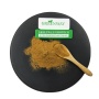 High Quality Hericium Erinaceus 10-50% Polysaccharide Bulk Organic Lions Mane Mushroom Extract Powder