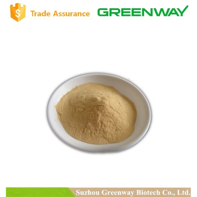 High Quality Manufacturer supply Mushroom Chitosan powder