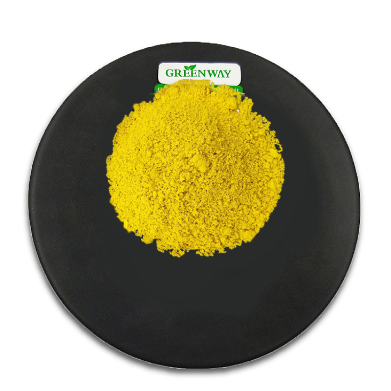 Pharmaceutical Grade Natural Organic Japonica Flower Bud Extract Cas 117-39-5 98% Quercetin Powder