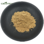 Pure Cissus Quadrangularis Extract Factory Directly Supply High Quality Cissus Quadrangularis Extract Powder