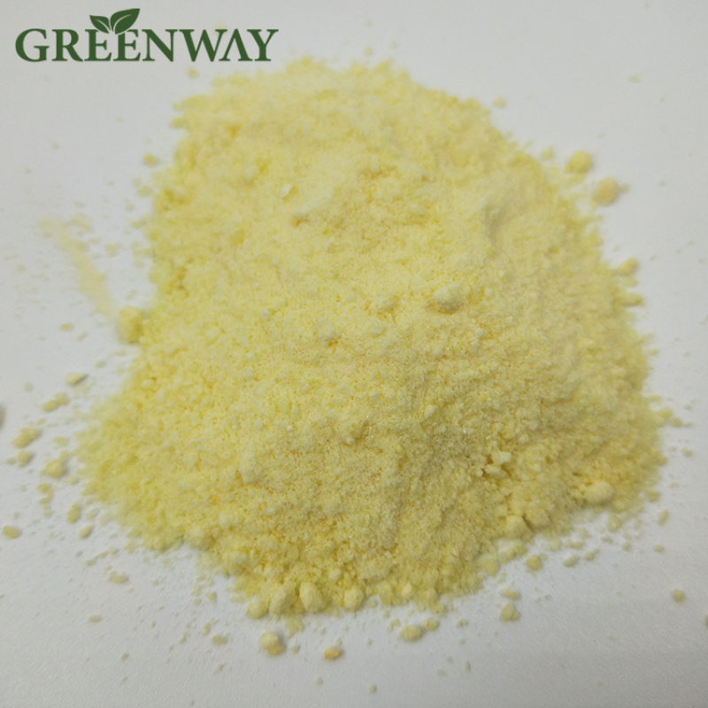 Fresh Fine Ginger Root Extract Powder / Zingiber Officinale Extract Powder