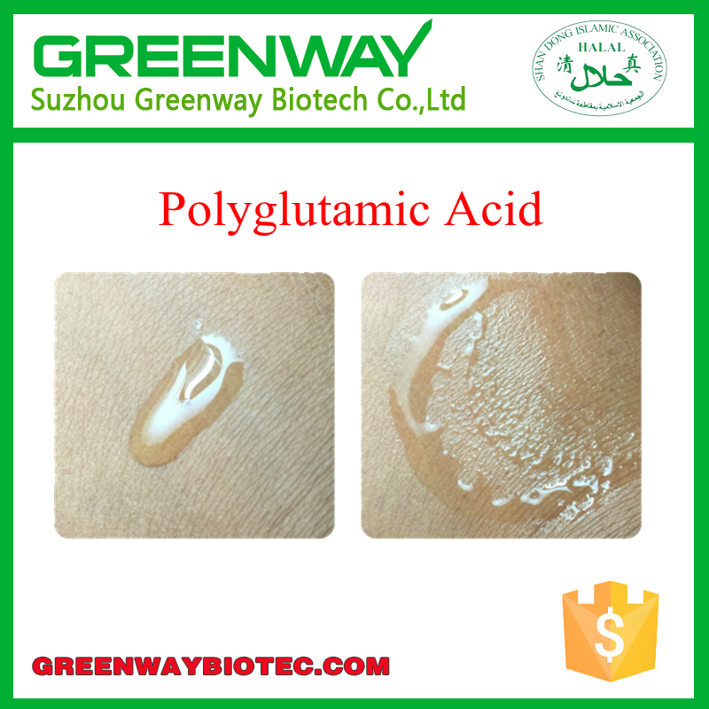 High Quality Food Grade Polyglutamic Acid;25736-27-0