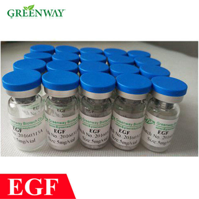 Cosmetic Human Epidermal growth factor, Growth Factor EGF