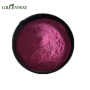 High quality extract Blueberry powder price 1kg/Blueberry juice powder