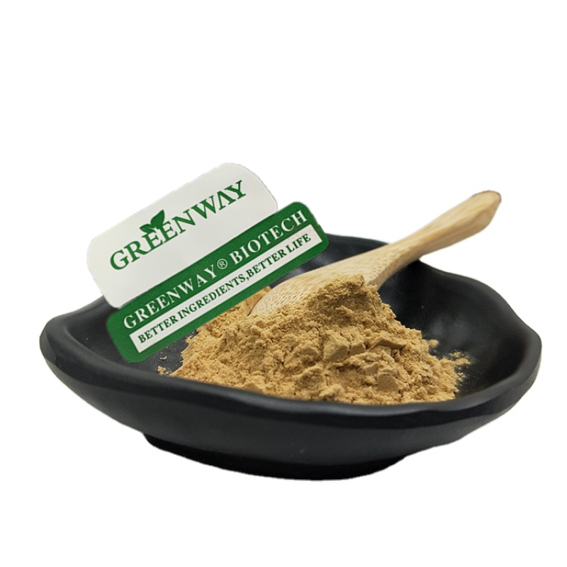 Greenway Supply Bulk Oat Extract Beta Glucan Powder