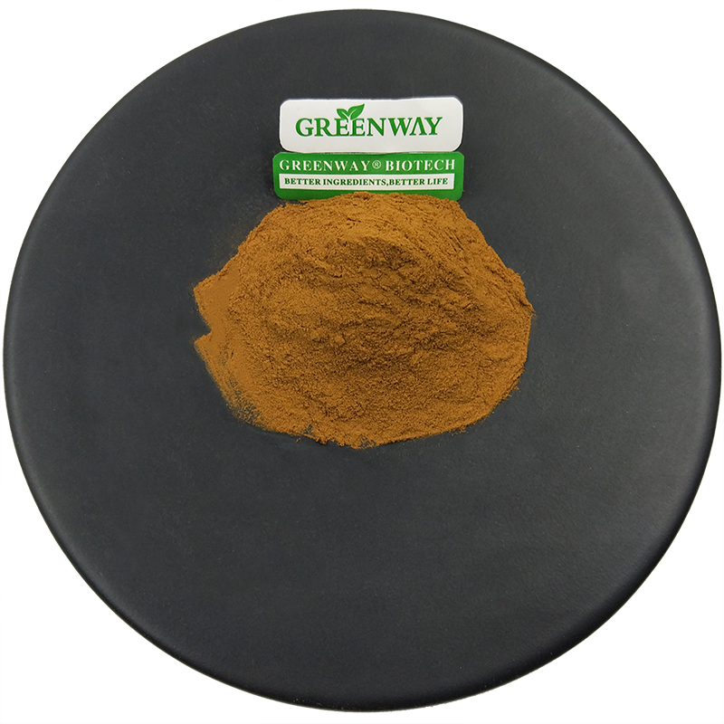 Pure Cynara Scolymus Plant Extract 5% Cynarin Bulk Jerusalem Artichoke Extract Powder