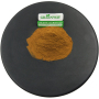 Pure Cynara Scolymus Plant Extract 5% Cynarin Bulk Jerusalem Artichoke Extract Powder