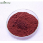 Organic Grape Skin Red Pigment Grape Peel / Skin Extract Powder