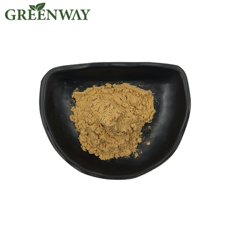Pure Natural Spine Date Extract Wild Jujube Extract Jujube Seed Extract Powder