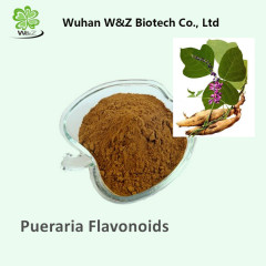 W&Z High quality Pueraria Root extract flavones/Pueraria Flavonoids 40% 60%