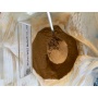 Low Price Ganoderma Lucidum Reishi Mushroom Extract Powder