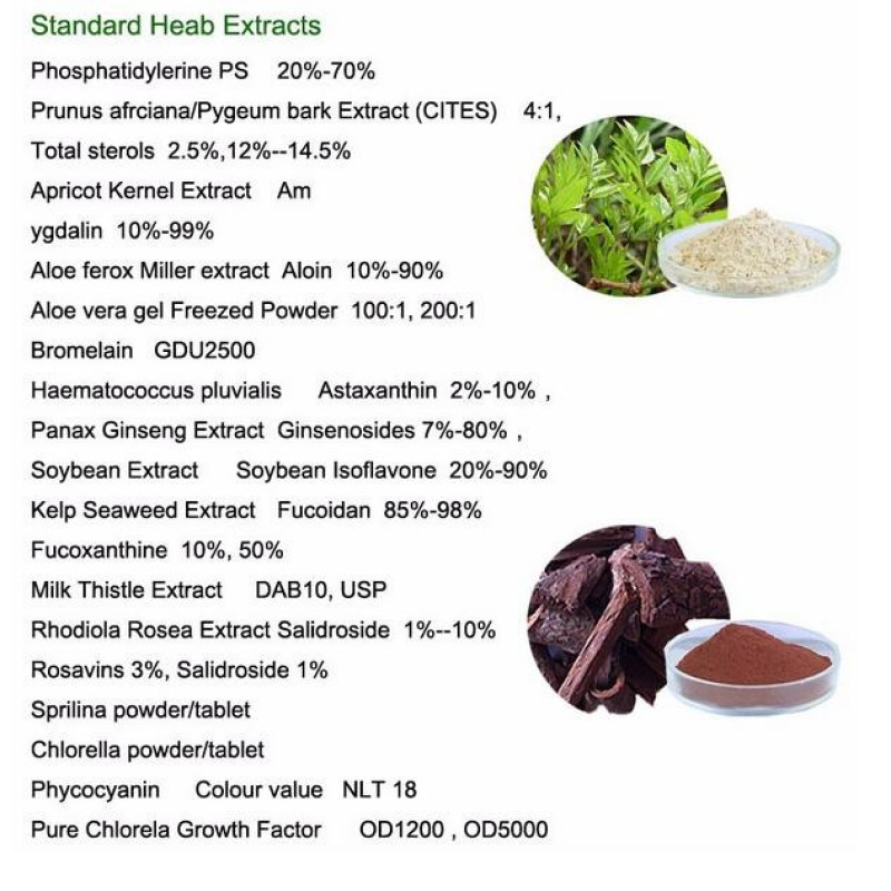 Odorless Garlic Extract 1-10%Alliin Allicin
