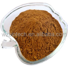 100% herbal Ginko flavones Terpenlactone Ginkgo biloba leaves Extract // Ginkgo biloba powder
