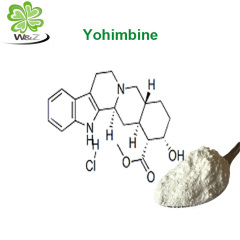 Wholesale high quality Yohimbe hcl yohimbine hcl powder