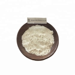 Anti-aging Cosmetic powder Vitamin A/Retinol/ Adenosine/Hydroxypropyl cyclodextri  CAS 58-61-7