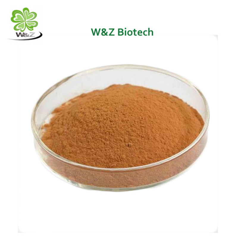 Needle Mushroom Extract Powder Polysaccharide Flammulina Velutipes Polysaccharide