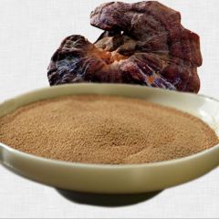 High Purity Ganoderma Lucidum Polysaccharides Reishi Mushroom Extract Powder