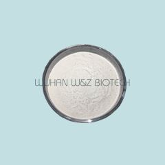 USA warehouse shipment EP standard UDCA powder CAS 128-13-2 Ursodeoxycholic Acid