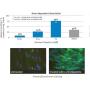 Remove wrinkles firming the skin Matrixyl 3000 / Pal-GHK/ Palmitoyl Tripeptide-1 CAS 147732-56-7