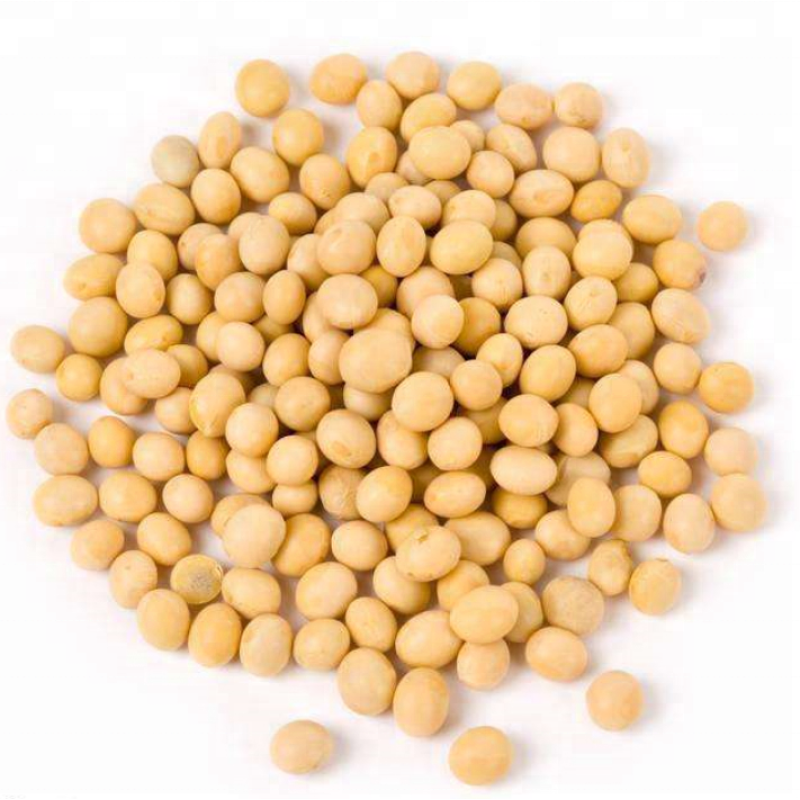 High Quality Soy Extract CatheRine Genistein Powder Soy isoflavones Health Care Product