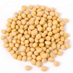High Quality Soy Extract CatheRine Genistein Powder Soy isoflavones Health Care Product