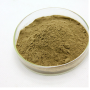Shiitake Mushroom Extract 10.0~30.0% Polysaccharides by UV