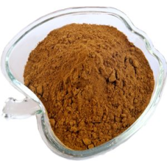 Organic Cordyceps Sinensis Extract  mushroom powder