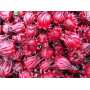 100% pure natural hibiscus flower extract hydroxycitric acid 10% - 60%with best price