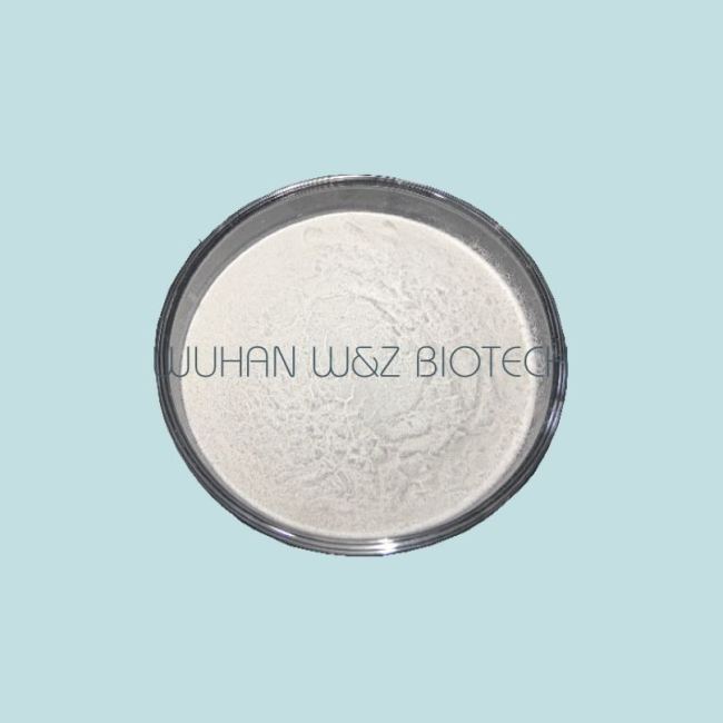 Wholesale Antibiotic Azithromycin CAS 83905-01-5 Raw Material Powder for  for Antivirals