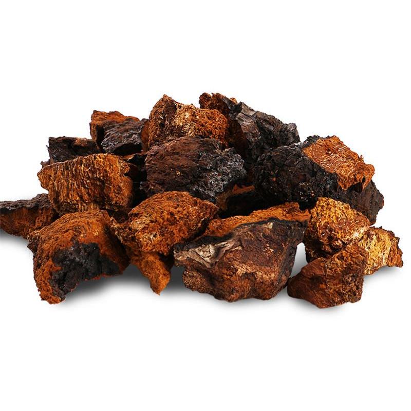 Natural Chaga extract powder Polysaccharides 10% - 50%/triterpene2%