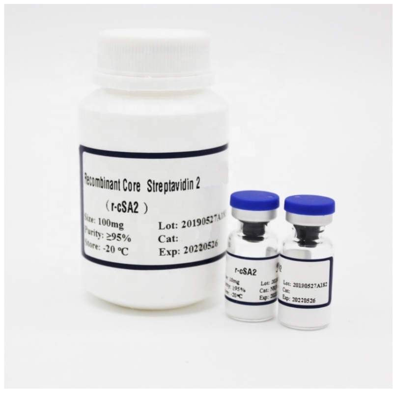 Recombinant Alkali-tolerant Protein A rat-PA